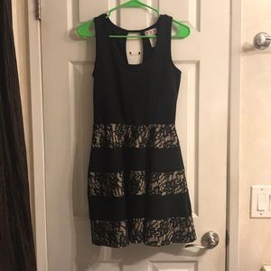 Black & Tan dress